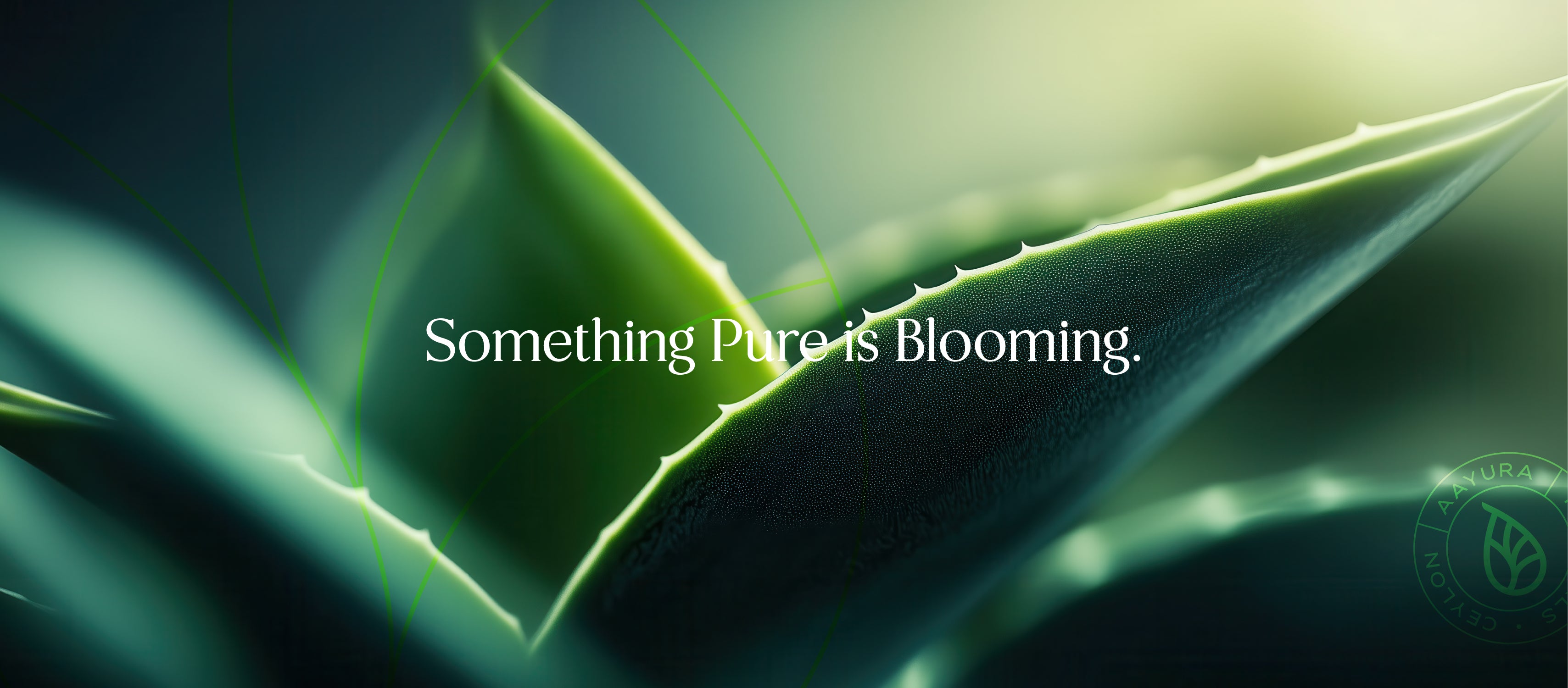 Aayura_FB_Cover-01.jpg__PID:ca99cf85-8290-43bf-923a-3ee506f5941f